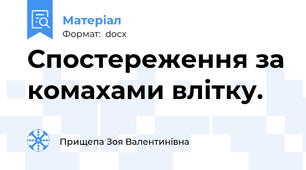 Спостереження за комахами влітку.