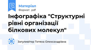 Інфографіка "Структурні рівні організації білкових молекул"
