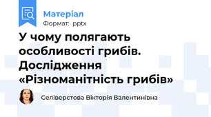 У чому полягають особливості грибів.  Дослідження «Різноманітність грибів»