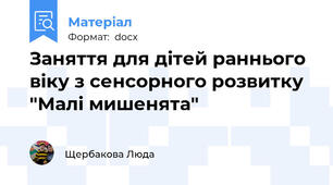 Заняття для дітей раннього віку з сенсорного розвитку "Малі мишенята"