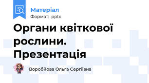 Органи квіткової рослини. Презентація