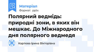 Полярний ведмідь: природні зони, в яких він мешкає. До Міжнародного дня полярного ведмедя