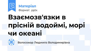 Взаємозв'язки в прісній водоймі, морі чи океані