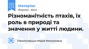 Різноманітність птахів, їх роль в природі та значення у житті людини.