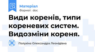 Види коренів, типи кореневих систем. Видозміни кореня.