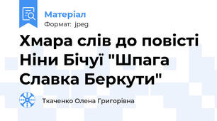 Хмара слів до повісті Ніни Бічуї "Шпага Славка Беркути"
