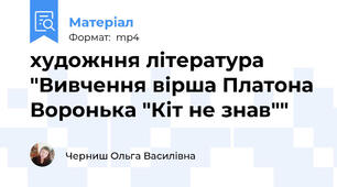 художння література "Вивчення вірша Платона Воронька "Кіт не знав""