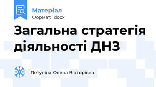 Загальна стратегія діяльності ДНЗ