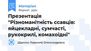 Презентація "Різноманітність ссавців: яйцекладні, сумчасті, рукокрилі, комахоїдні"