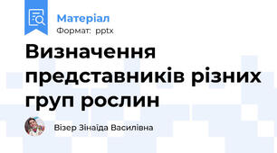 Визначення представників різних груп рослин