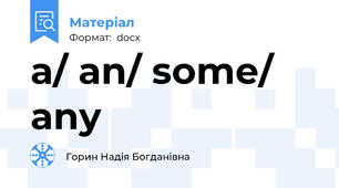 a/ an/ some/ any