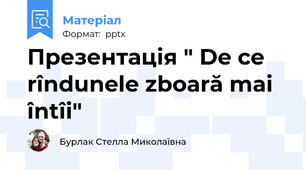Презентація " De ce rîndunele zboară mai întîi"