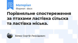 Порівняльне спостереження  за птахами ластівка сільска та ластівка міська.