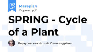 SPRING - Cycle of a Plant