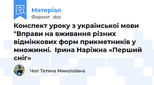 Конспект уроку з української мови "Вправи на вживання різних відмінкових форм прикметників у множинні.  Ірина Наріжна «Перший сніг»