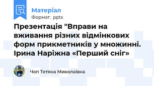 Презентація "Вправи на вживання різних відмінкових форм прикметників у множинні.  Ірина Наріжна «Перший сніг»