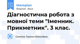 Діагностична робота з мовної теми "Іменник. Прикметник". 3 клас.