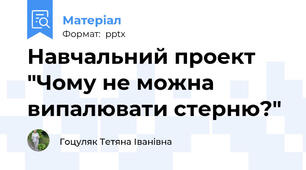 Навчальний проект "Чому не можна випалювати стерню?"