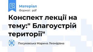 Конспект лекції на тему:" Благоустрій території"