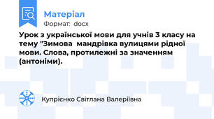 Урок з української мови для учнів 3 класу на тему "Зимова  мандрівка вулицями рідної мови. Слова, протилежні за значенням (антоніми).