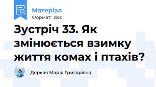 Зустріч 33. Як змінюється взимку життя комах і птахів?