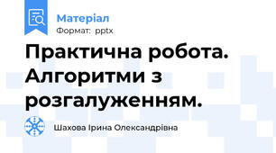 Практична робота. Алгоритми з розгалуженням.