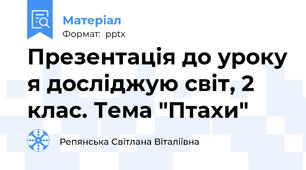 Презентація до уроку я досліджую світ, 2 клас. Тема "Птахи"