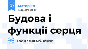Будова і функції серця