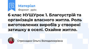 6 клас НУШУрок 1. Благоустрій та організація власного житла. Роль виготовлених виробів у створені затишку в оселі. Охайне житло.