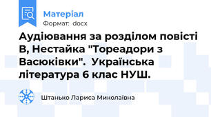 Аудіювання за розділом повісті В, Нестайка "Тореадори з Васюківки".  Українська література 6 клас НУШ.