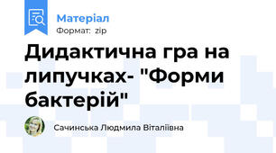 Дидактична гра на липучках- "Форми бактерій"