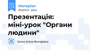 Презентація: міні-урок "Органи людини"
