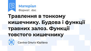 Травлення в тонкому кишечнику. Будова і функції травних залоз. Функції товстого кишечнику