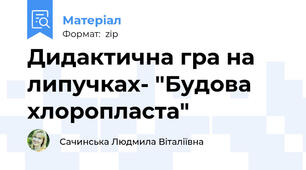 Дидактична гра на липучках- "Будова хлоропласта"