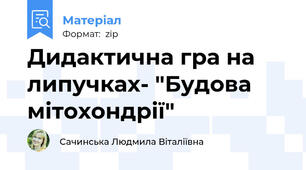 Дидактична гра на липучках- "Будова мітохондрії"
