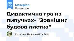 Дидактична гра на липучках- "Зовнішня будова листка"