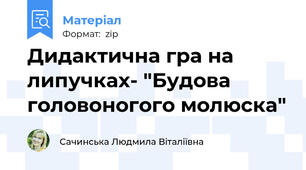 Дидактична гра на липучках- "Будова головоногого молюска"