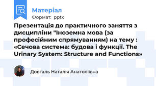 Презентація до практичного заняття з дисципліни "Іноземна мова (за професійним спрямуванням) на тему : «Сечова система: будова і функції. The Urinary System: Structure and Functions»