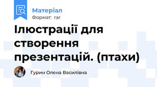 Ілюстрації для створення презентацій. (птахи)