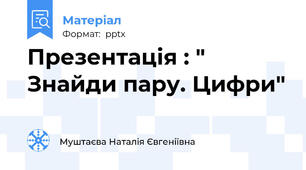 Презентація : " Знайди пару. Цифри"