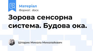 Зорова сенсорна система. Будова ока.