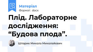 Плід. Лабораторне дослідження: “Будова плода”.