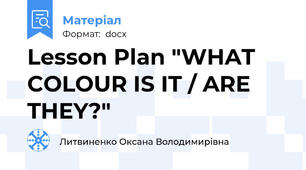 Lesson Plan "WHAT COLOUR IS IT / ARE THEY?"