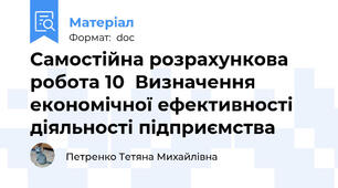 Самостійна розрахункова робота 10  Визначення економічної ефективності діяльності підприємства