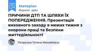 ПРИЧИНИ ДТП ТА ШЛЯХИ ЇХ ПОПЕРЕДЖЕННЯ. Презентація виховного заходу в межах тижня з охорони праці та безпеки життєдіяльності