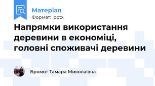 Напрямки використання деревини в економіці, головні споживачі деревини