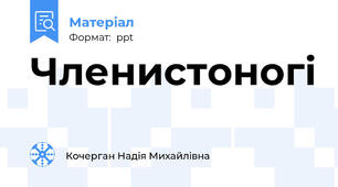 Членистоногі