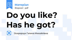 Do you like?  Has he got?