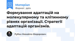 Формування адаптацій на молекулярному та клітинному рівнях організації. Стратегії адаптацій організмів.