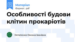 Особливості будови клітин прокаріотів